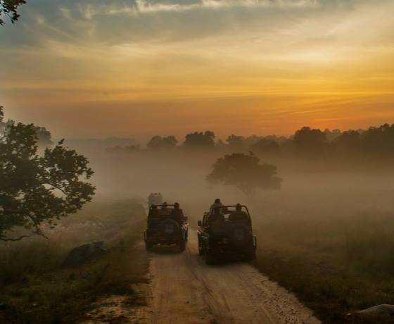 Madhya Pradesh